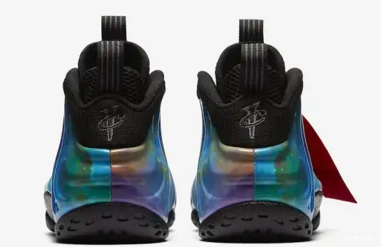 Nike AIR Foamposite 0516